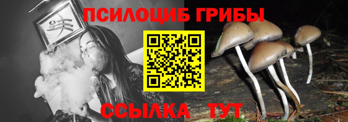 Тольятти  Галлюциногенные грибы Magic Shrooms  Вход с VPN 